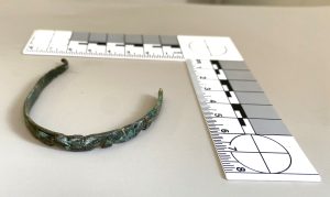 Small metal bangle with scale