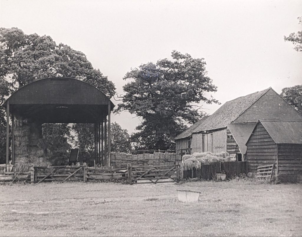 Black and White photograph showing a barn where straw is being stored and an adjacent farm building