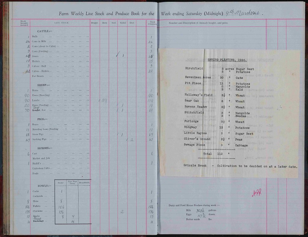 Coloured sheet of paper taken from the farm weekly report of Powick Hospital farm dated 9th March 1946 which also contains a pasted in sheet describing the crops grown Spring, 1946