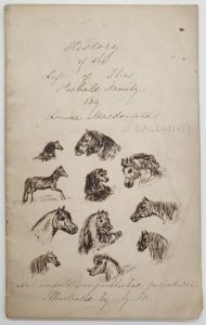 Front cover of a story written by Louisa MacDonald and illisutrated by her sister Georgiana.