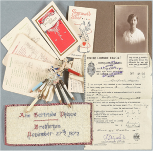 A collection of items from the Taplin deposit.